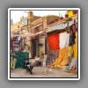 Jaisalmer (3)